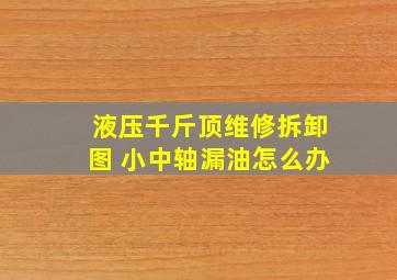 液压千斤顶维修拆卸图 小中轴漏油怎么办